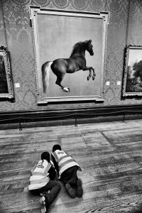 Whistlejacket at the National Gallery