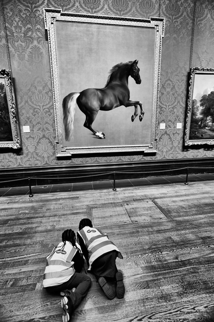 Whistlejacket at the National Gallery