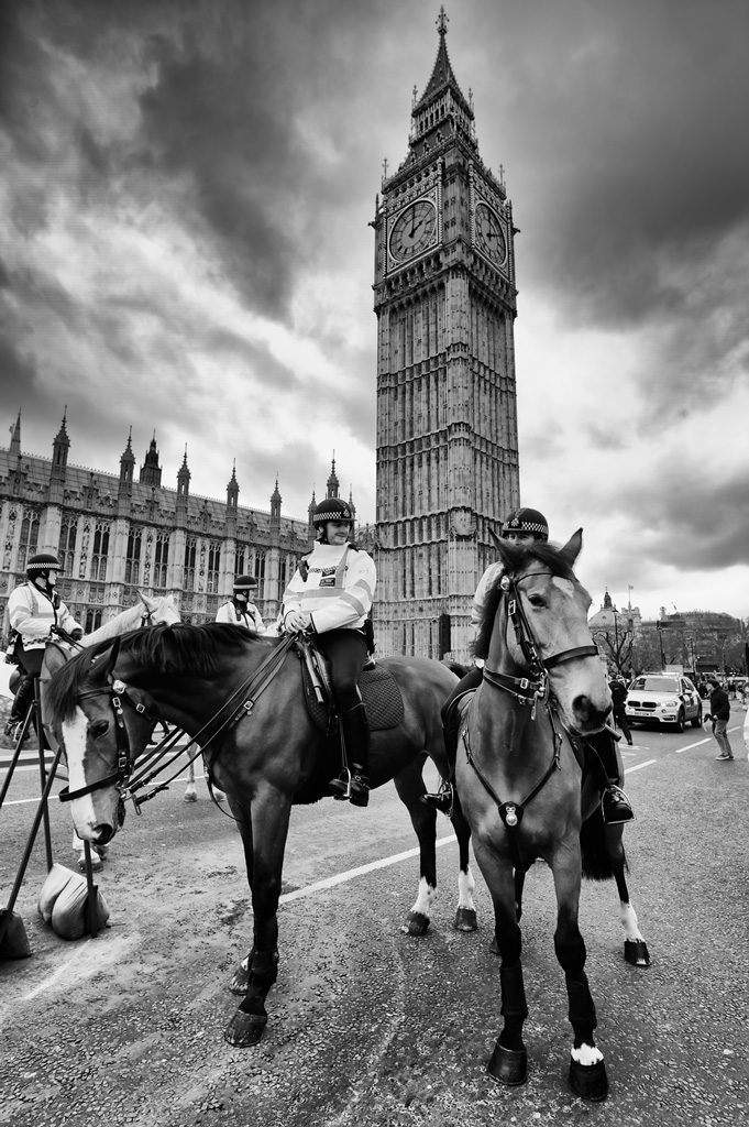 Westminster Police Horses