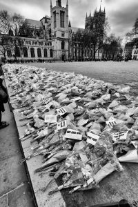 Westminster Flowers