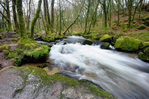 Golitha Falls, Cornwall